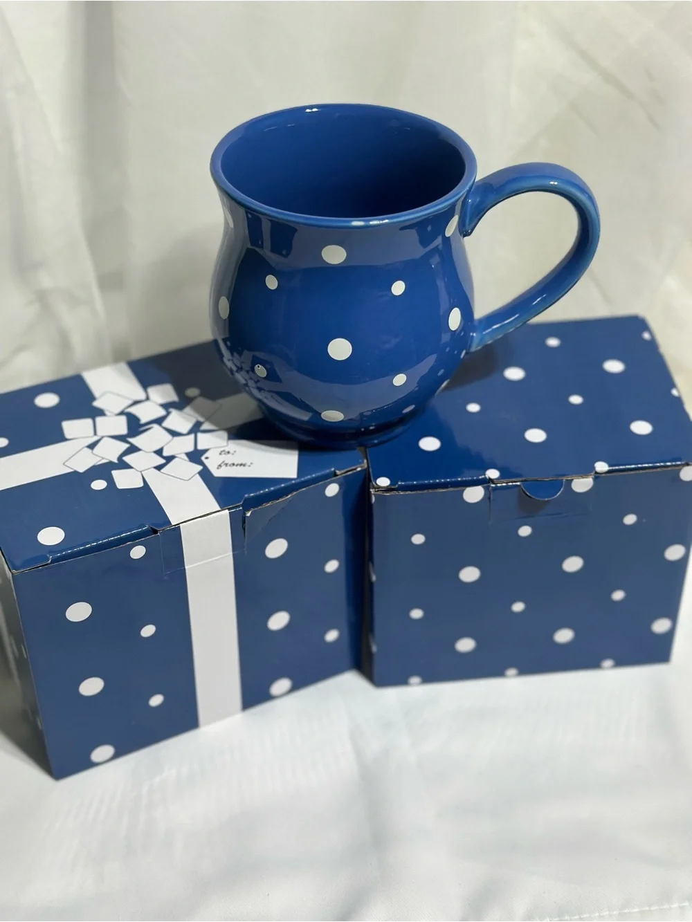 Temp-Tations Blue and White Polka Dot Ceramic Mug